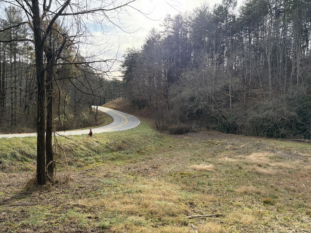 83-acres Cutcane Road Mineral Bluff, GA 30559 - Photo 10 of 22 a view of a yard with an outdoor space