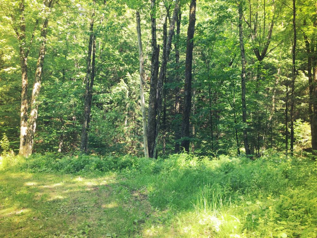 1092 River Ridge Road Morristown, VT 05661 - Photo 3 of 5