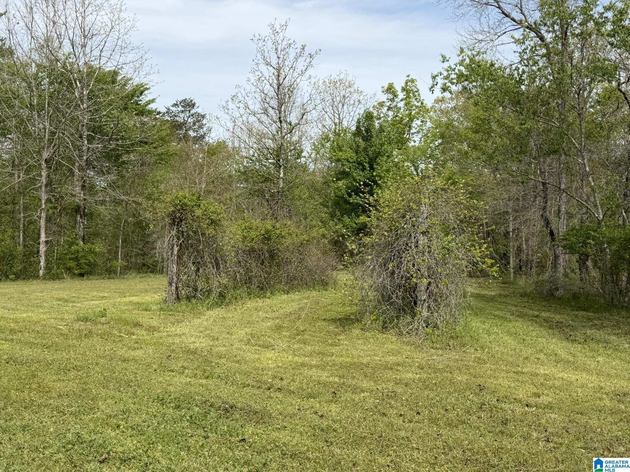 2121 Center Hill Road Trafford, AL 35172 - Photo 74 of 100
