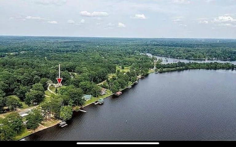 1401 Olin Hills Road Farmerville, LA 71241 - Photo 5 of 18