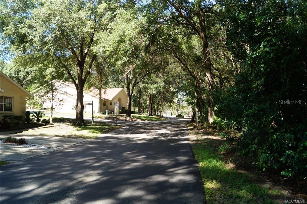 3505 North Woodgate Drive Beverly Hills, FL 34465 - Photo 8 of 9