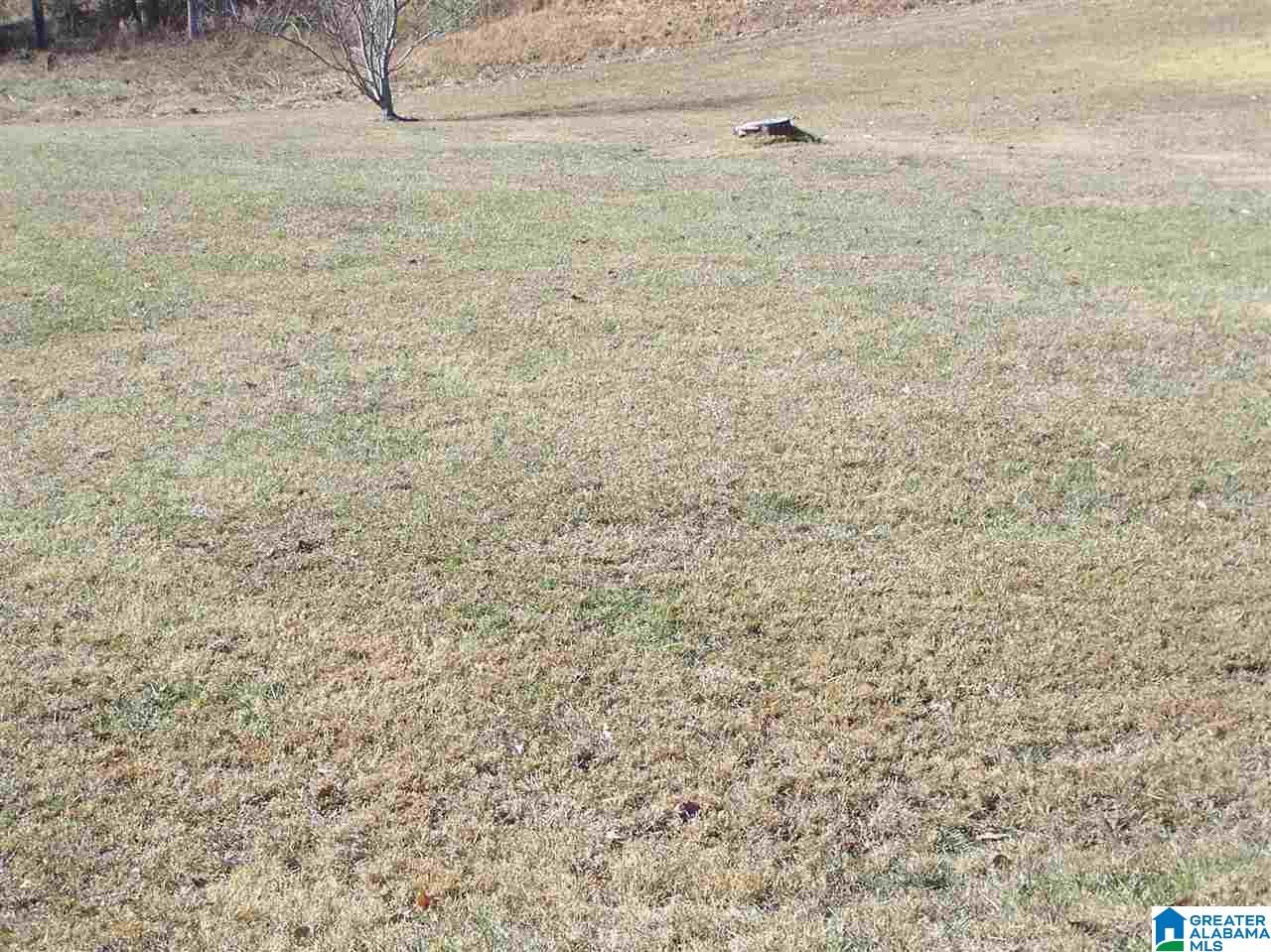 3383 County Road 42 Oneonta, AL 35121 - Photo 16 of 49