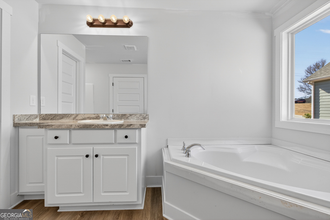 226 Airport Road, Unit 10 Canon, GA 30520 - Photo 41 of 43 a bathroom with a bathtub and a sink
