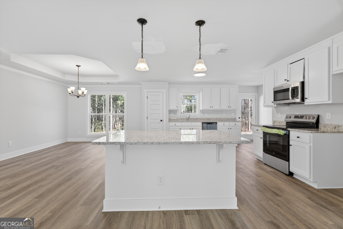 226 Airport Road, Unit 10 Canon, GA 30520 - Photo 8 of 43 a large kitchen with stainless steel appliances granite countertop a sink a stove a microwave and wooden floors