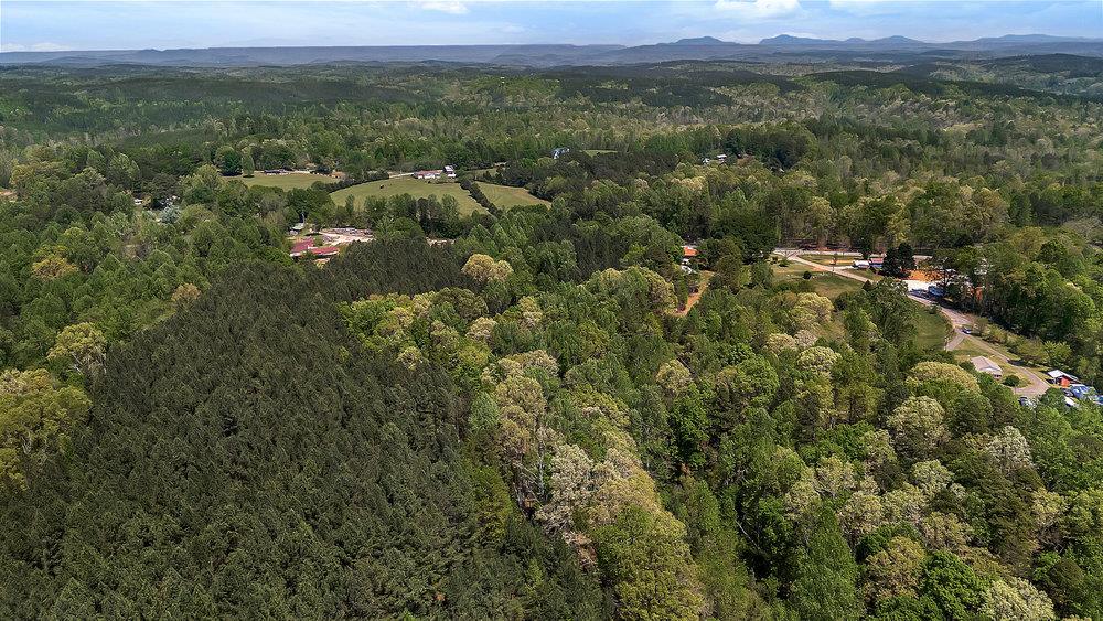 120 Collins Road Salem, SC 29676 - Photo 5 of 10 Vast, verdant landscape offering a tranquil rural setting with distant mountain views.