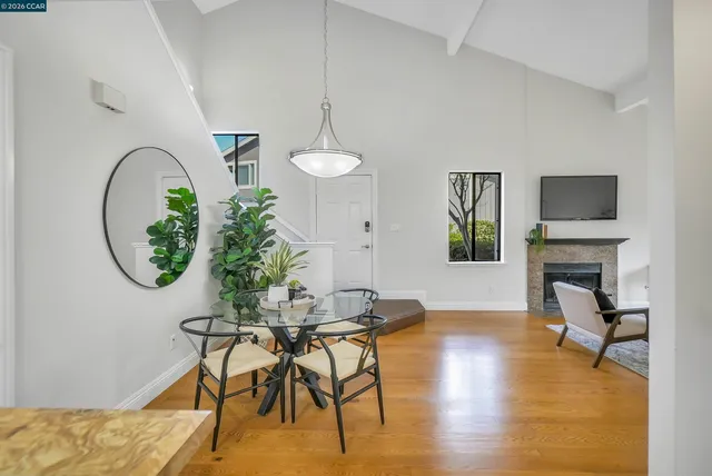 a living room with furniture a potted plant and a table