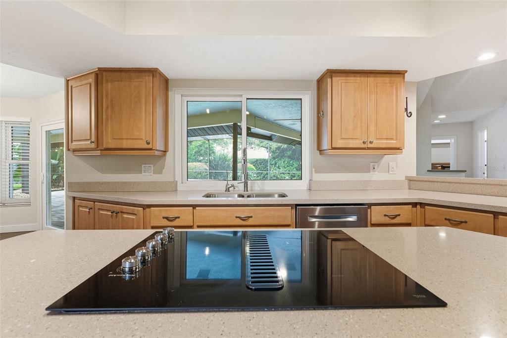 3612 Sugar Loaf Lane Valrico, FL 33596 - Photo 14 of 54