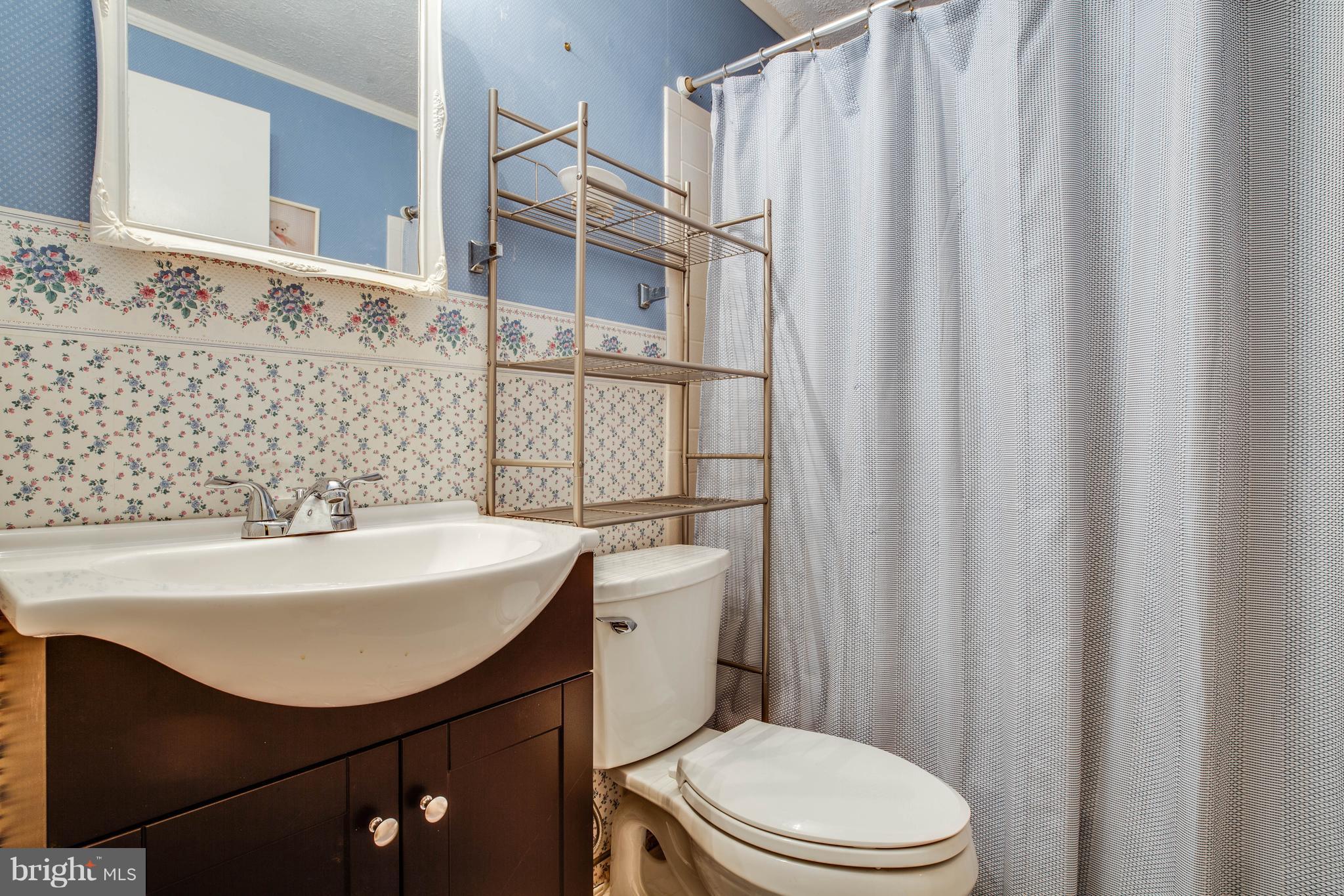 4314 Shepherds Road Partlow, VA 22534 - Photo 18 of 30 a bathroom with a sink a toilet and shower