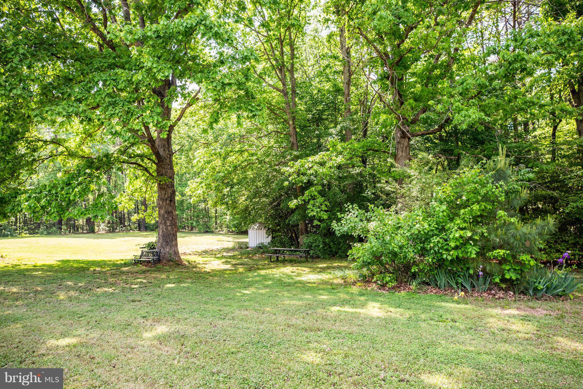 4314 Shepherds Road Partlow, VA 22534 - Photo 24 of 30 a view of outdoor space with deck and yard