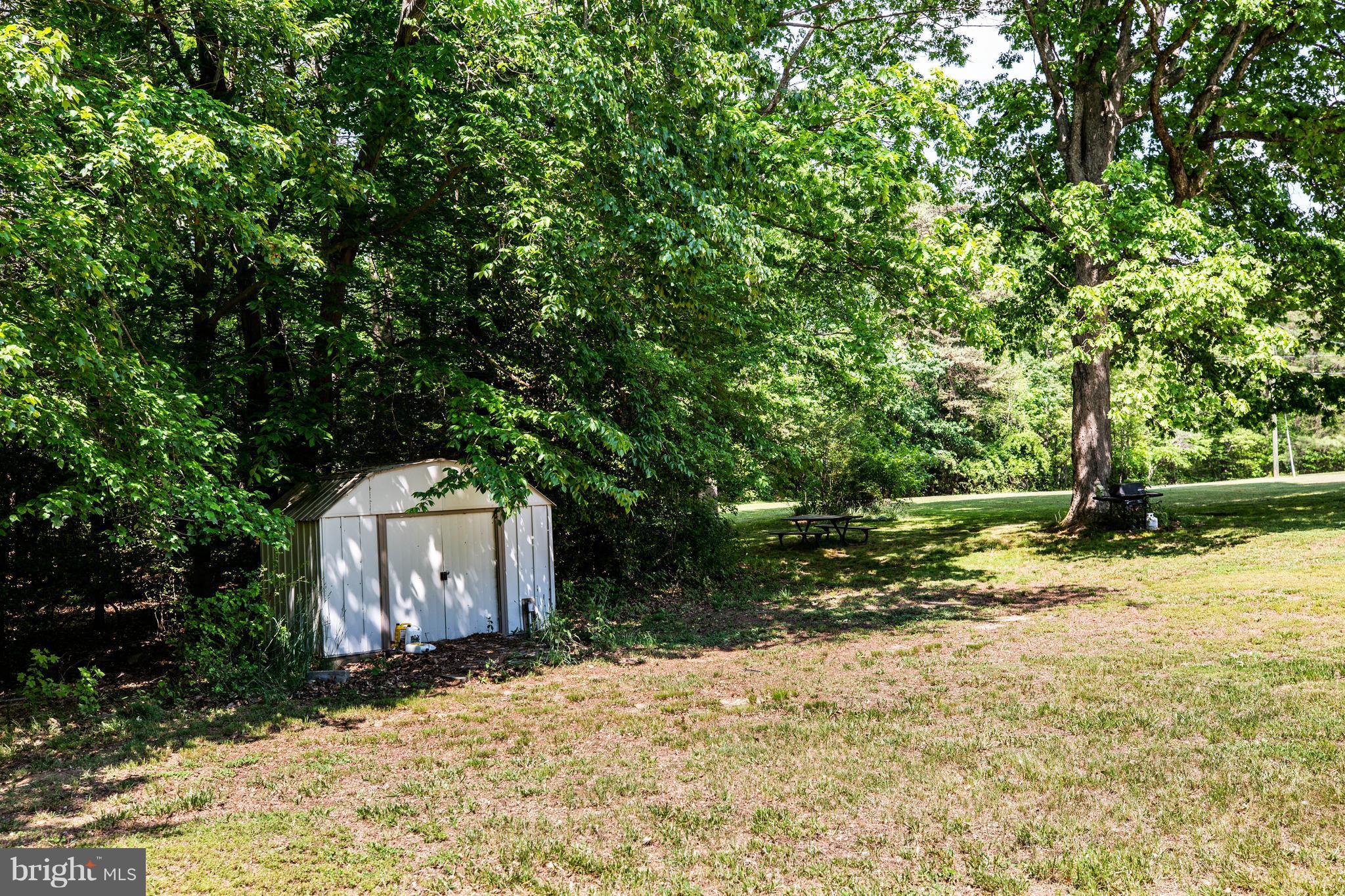 4314 Shepherds Road Partlow, VA 22534 - Photo 28 of 30 a tree is standing in the middle of a yard