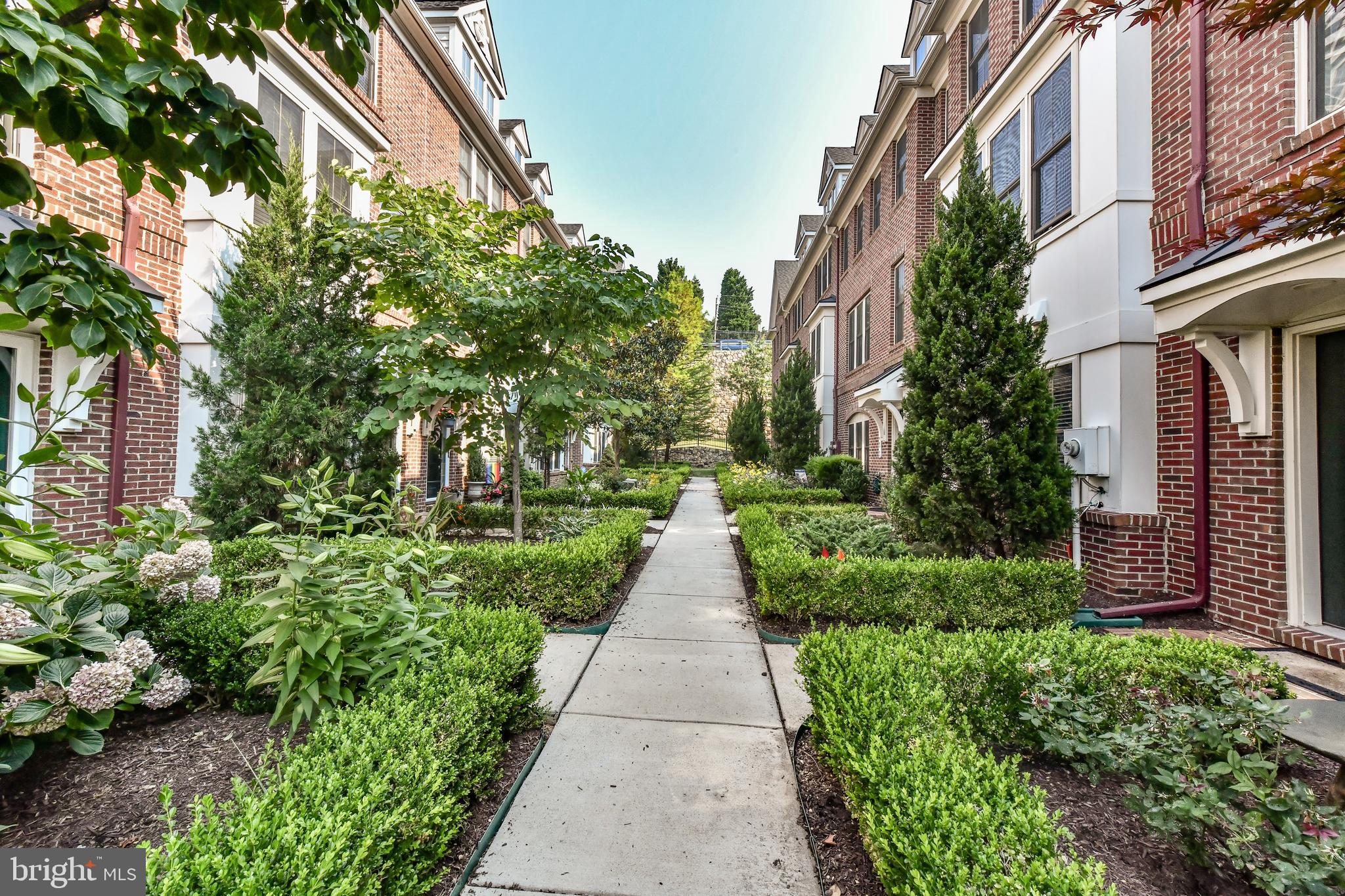 3449 Kemper Road Arlington, VA 22206 - Photo 3 of 33