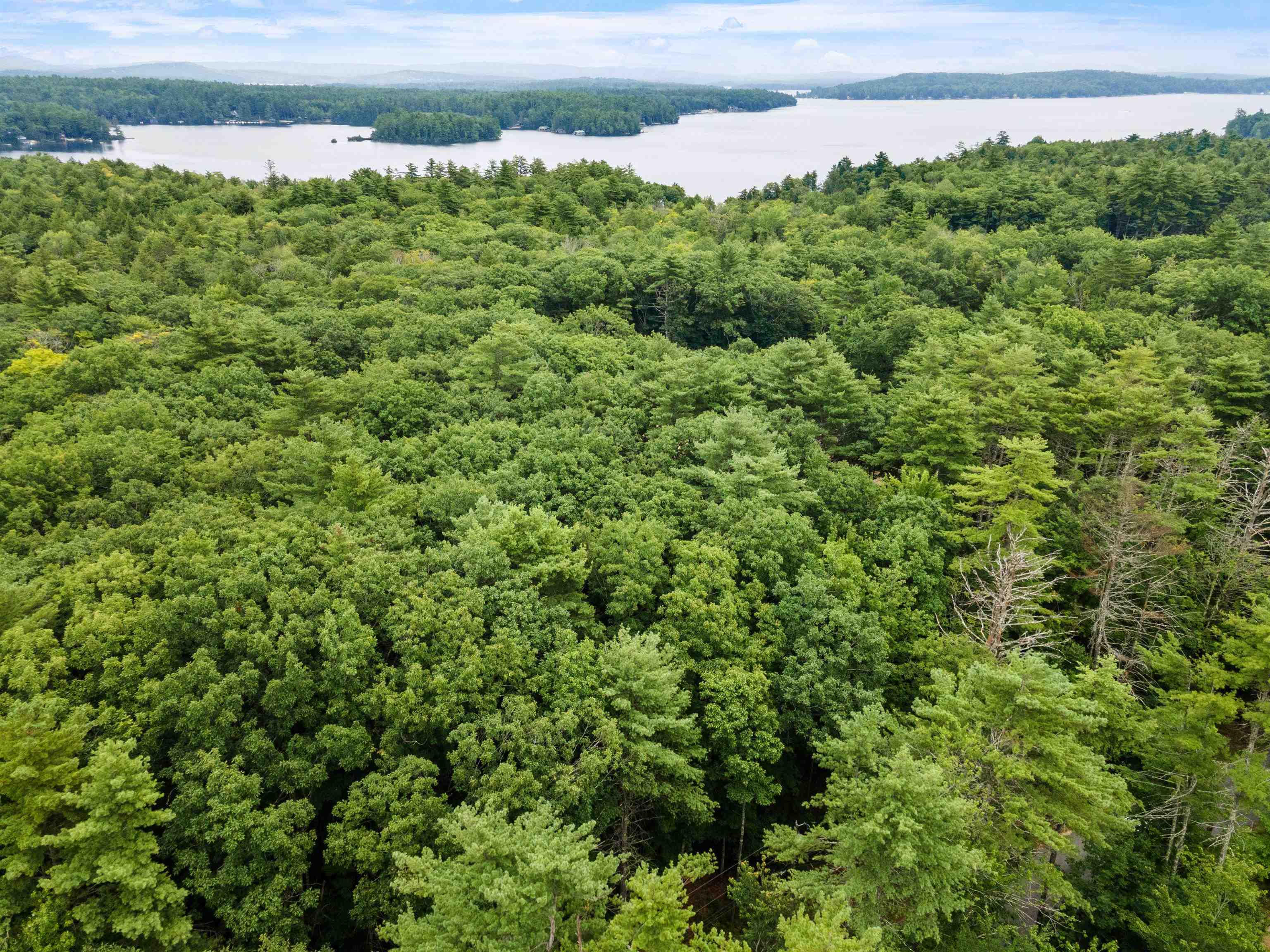 115 Long Point Road Moultonborough, NH 03254 - Photo 9 of 15