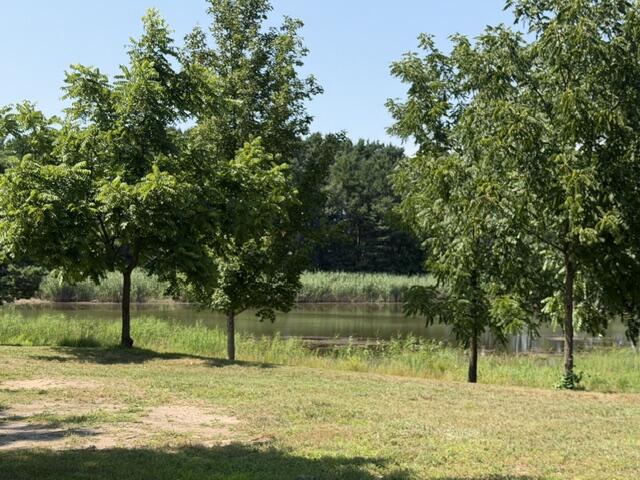 6301 South Stiles Road Pentwater, MI 49449 - Photo 8 of 11 IMG_5165