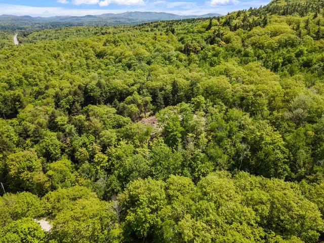 $159,900 | 0 Brookside Road, Unit LOTS 7 & 8 OR MAP 032 LOTS 525332 & 530317, Newbury, NH 03255