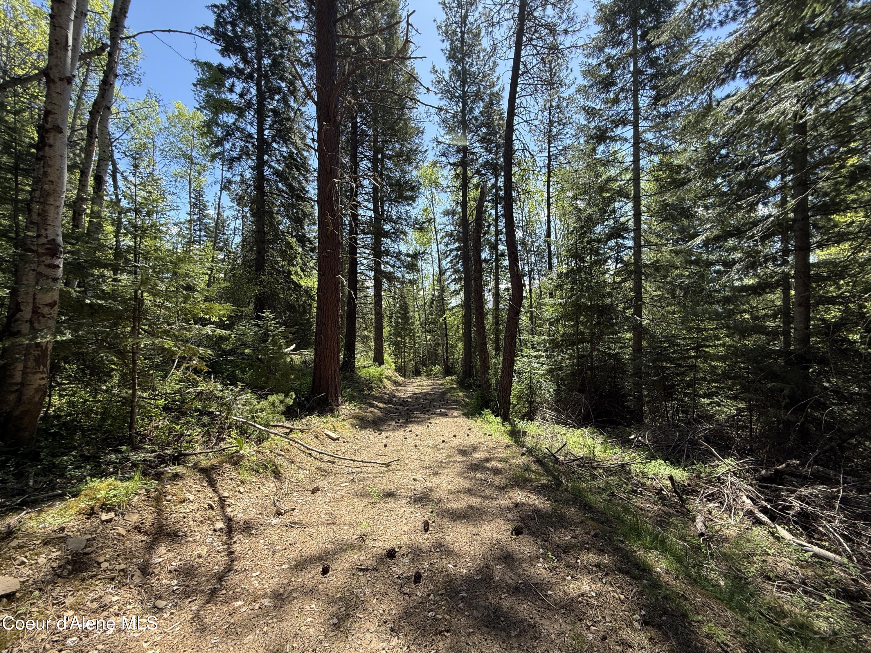 968 Ranch Road Kingston, ID 83839 - Photo 25 of 26 25
