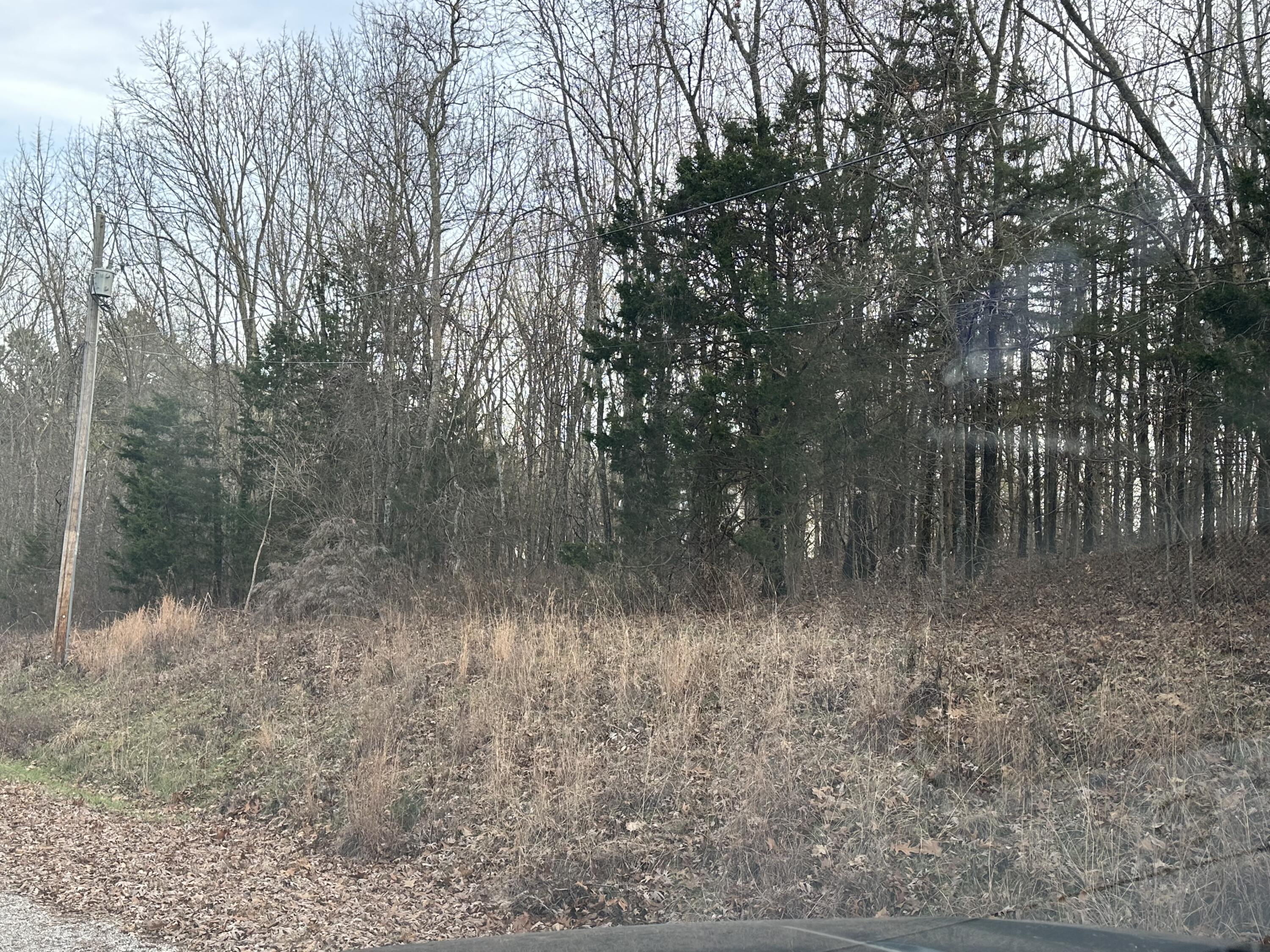 0 Ranchview Road Ridgedale, MO 65739 - Photo 1 of 1 Lot Frontage