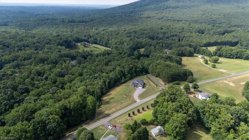 1322 Black Mountain Road Pilot Mountain, NC 27041 - Photo 3 of 45