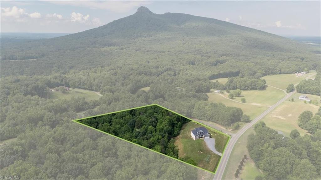 1322 Black Mountain Road Pilot Mountain, NC 27041 - Photo 4 of 45