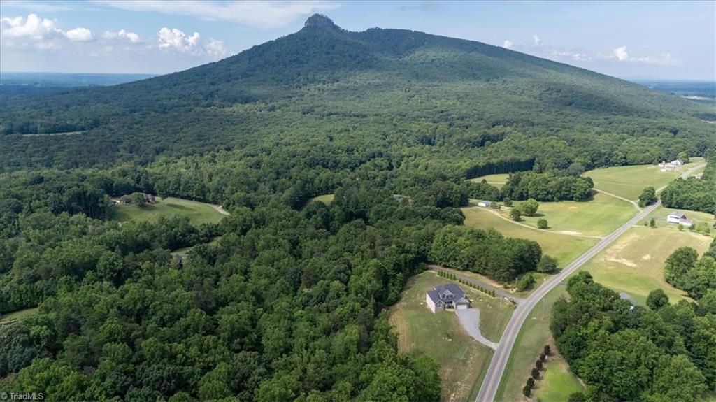 1322 Black Mountain Road Pilot Mountain, NC 27041 - Photo 5 of 45
