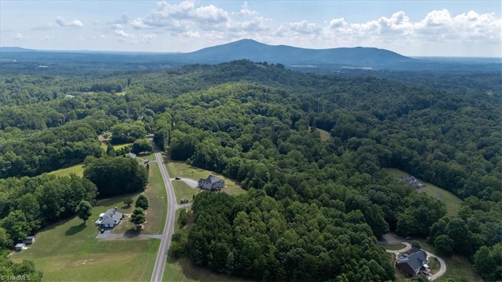 1322 Black Mountain Road Pilot Mountain, NC 27041 - Photo 6 of 45