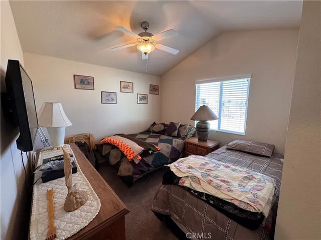 a room with furniture and a potted plant