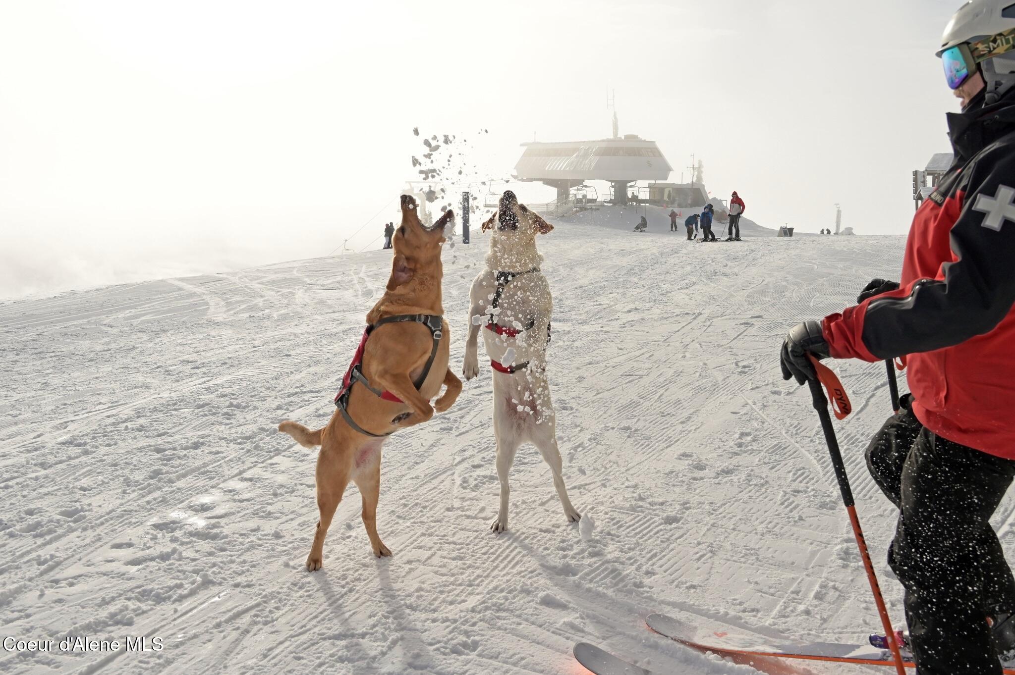 L2-b1 L2-b1 Crystal View Sandpoint, ID 83864 - Photo 38 of 40 Schweitzer Lifestyle