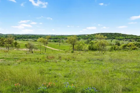 a view of a lush green forest with lots of trees
