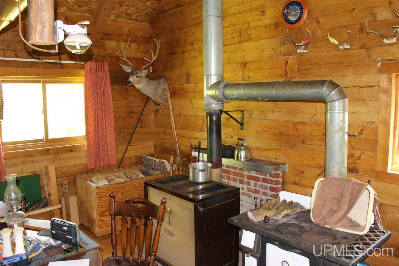 Tbd Net River Road Crystal Falls, MI 49903 - Photo 8 of 22