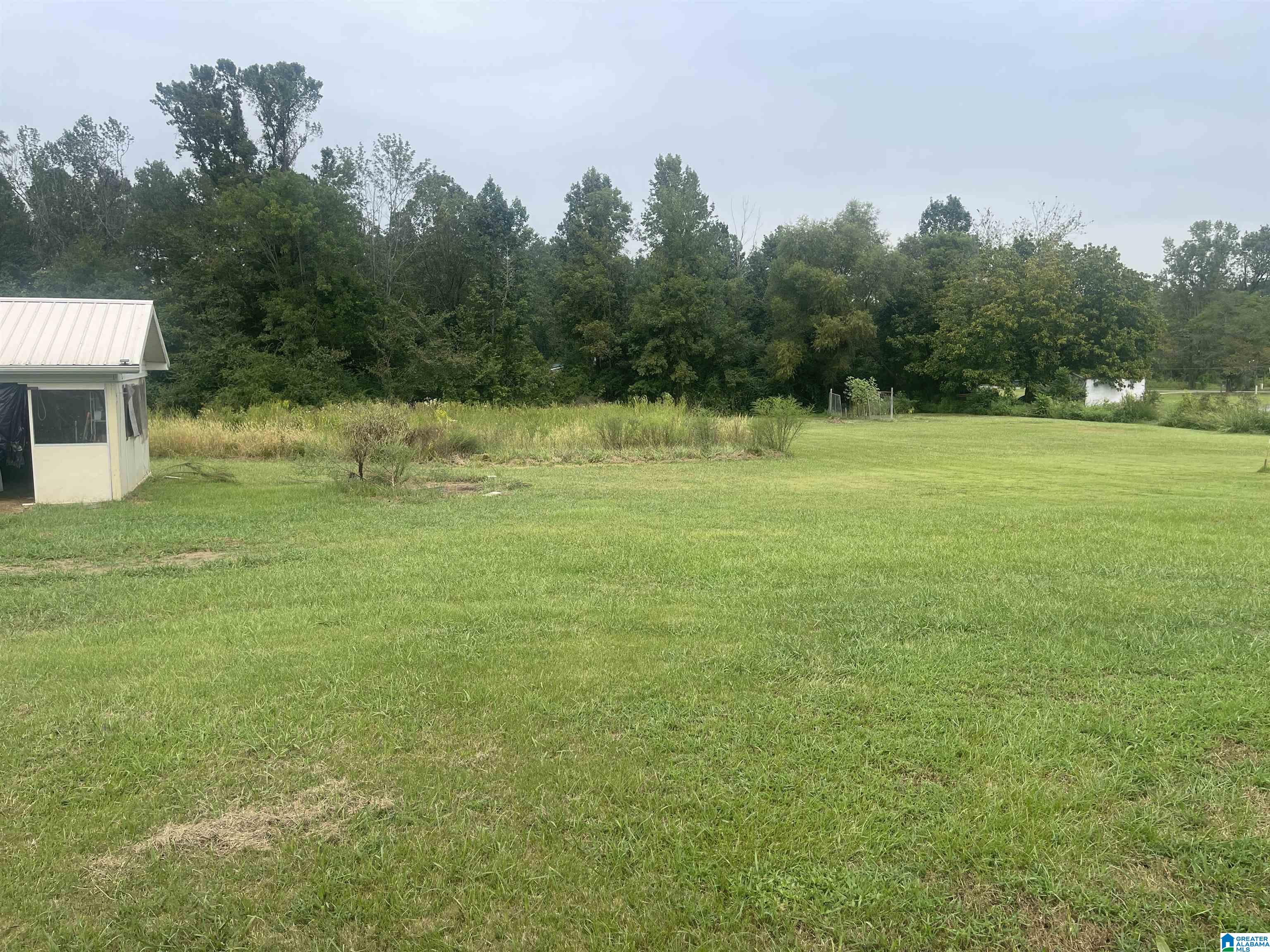 11781 Highway 144 Ragland, AL 35131 - Photo 39 of 49