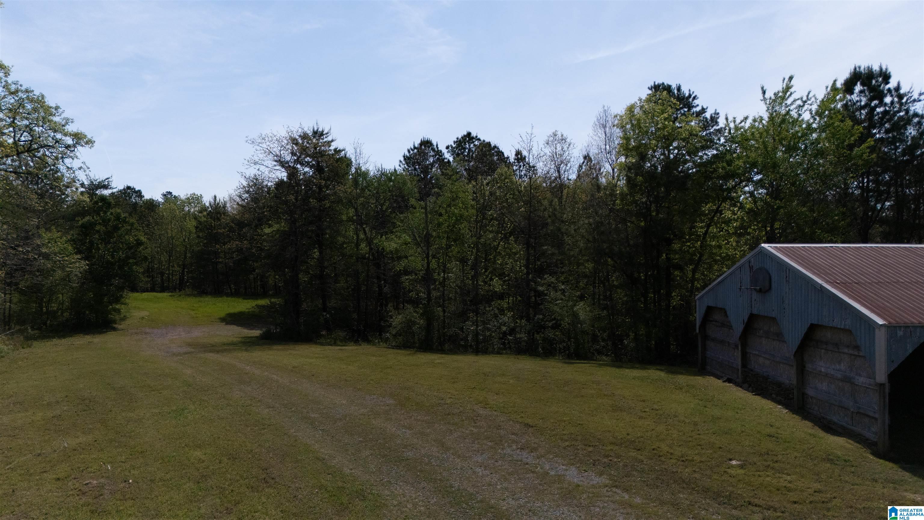 2121 Center Hill Road Trafford, AL 35172 - Photo 65 of 100