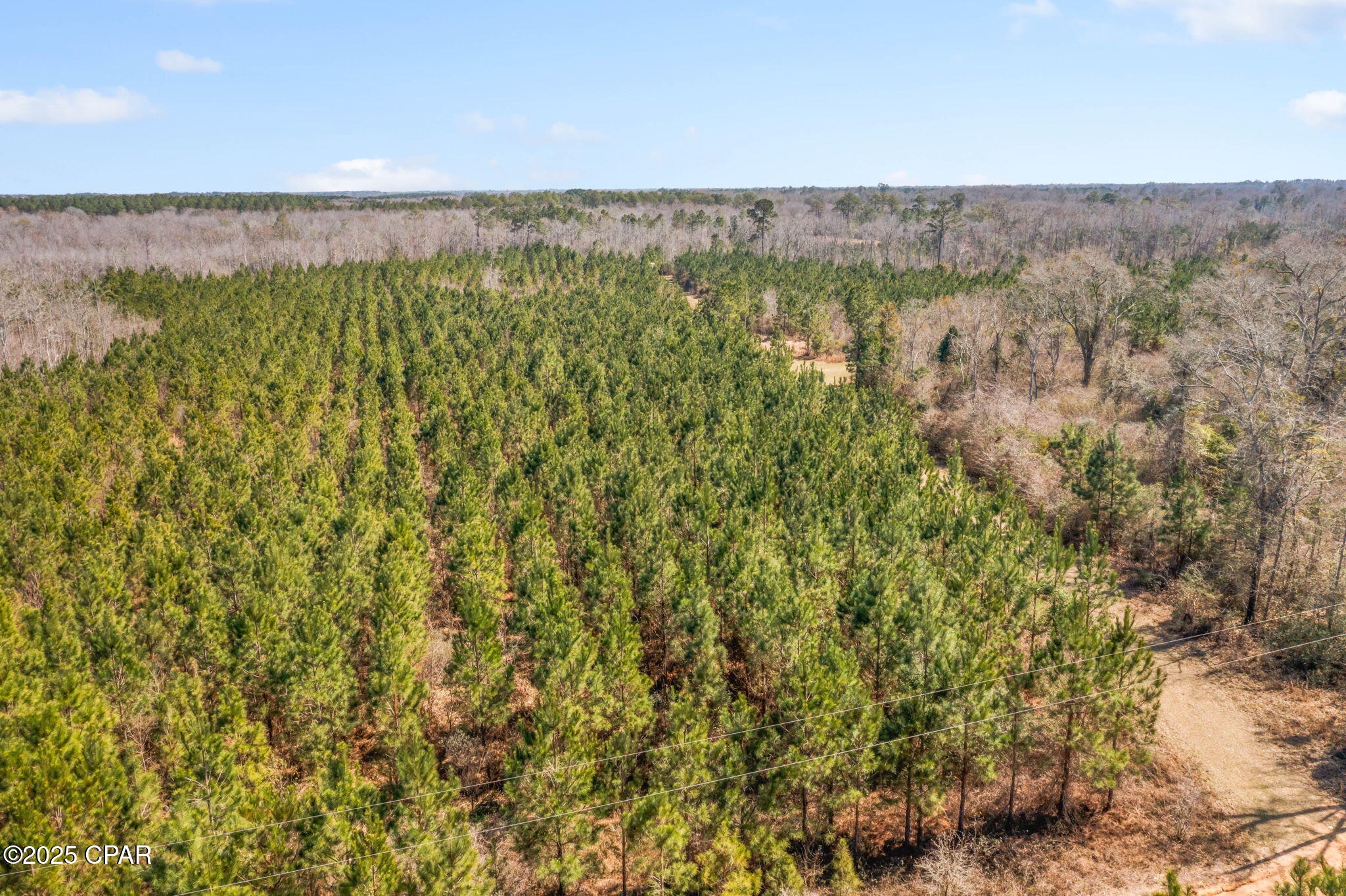 Lot 4 New Prospect Road Chipley, FL 32428 - Photo 25 of 26