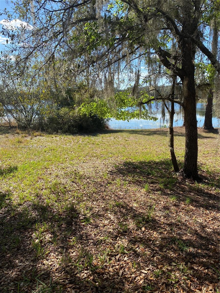 317 Neal Road Hawthorne, FL 32640 - Photo 2 of 7 Gallery Image 2