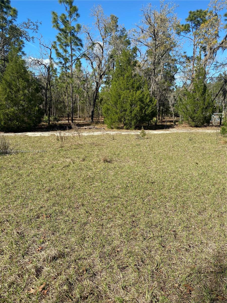 317 Neal Road Hawthorne, FL 32640 - Photo 5 of 7 Gallery Image 5