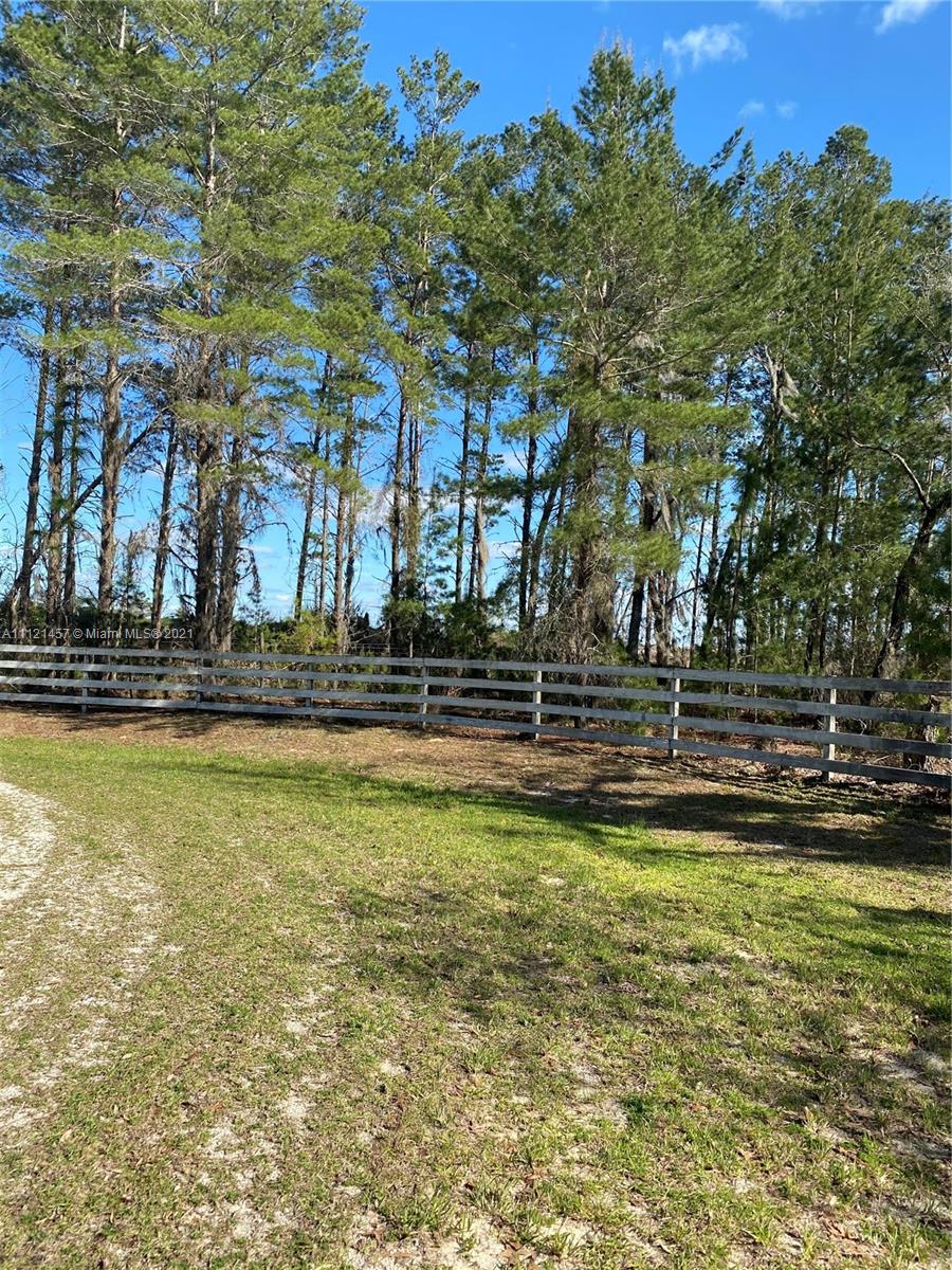 317 Neal Road Hawthorne, FL 32640 - Photo 7 of 7 Gallery Image 7