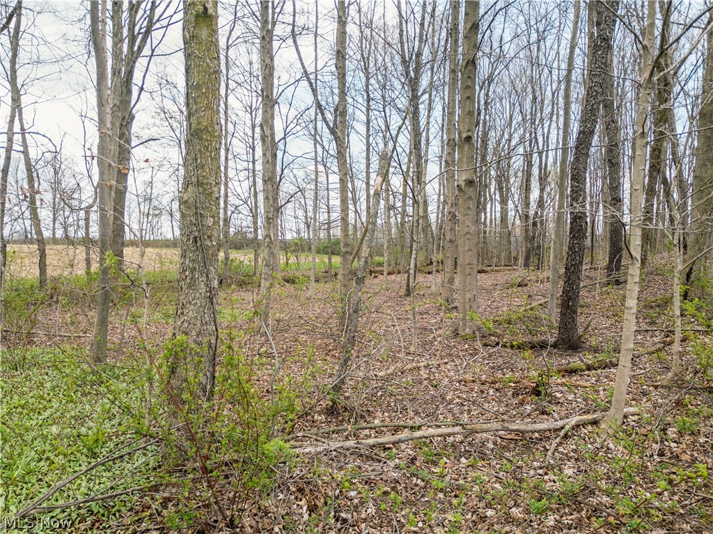 Steiner Road Sterling, OH 44276 - Photo 12 of 22