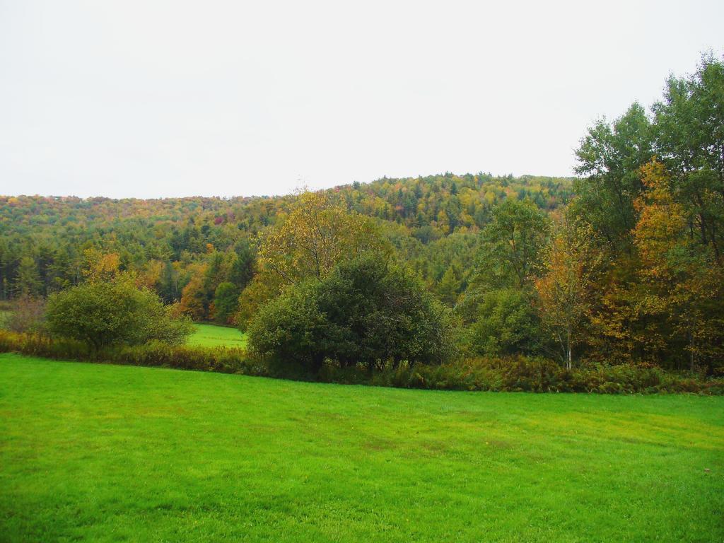 249 Allen Road Port Crane, NY 13833 - Photo 10 of 12 Gallery Image 10