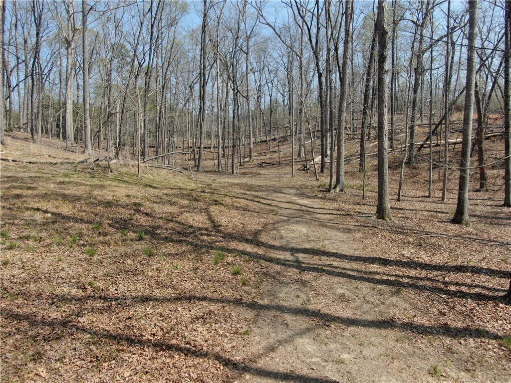 918 Purvis Road Baldwin, GA 30511 - Photo 15 of 18 Gallery Image 15