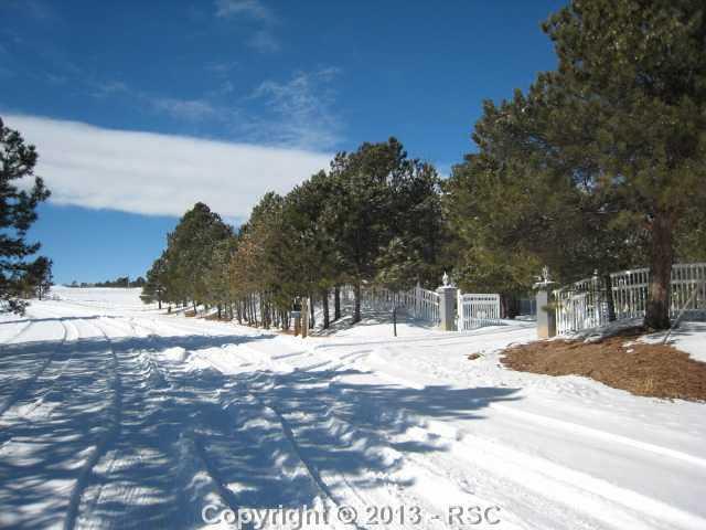 8650 Wildridge Road Colorado Springs, CO 80908 - Photo 25 of 25 Street scene
