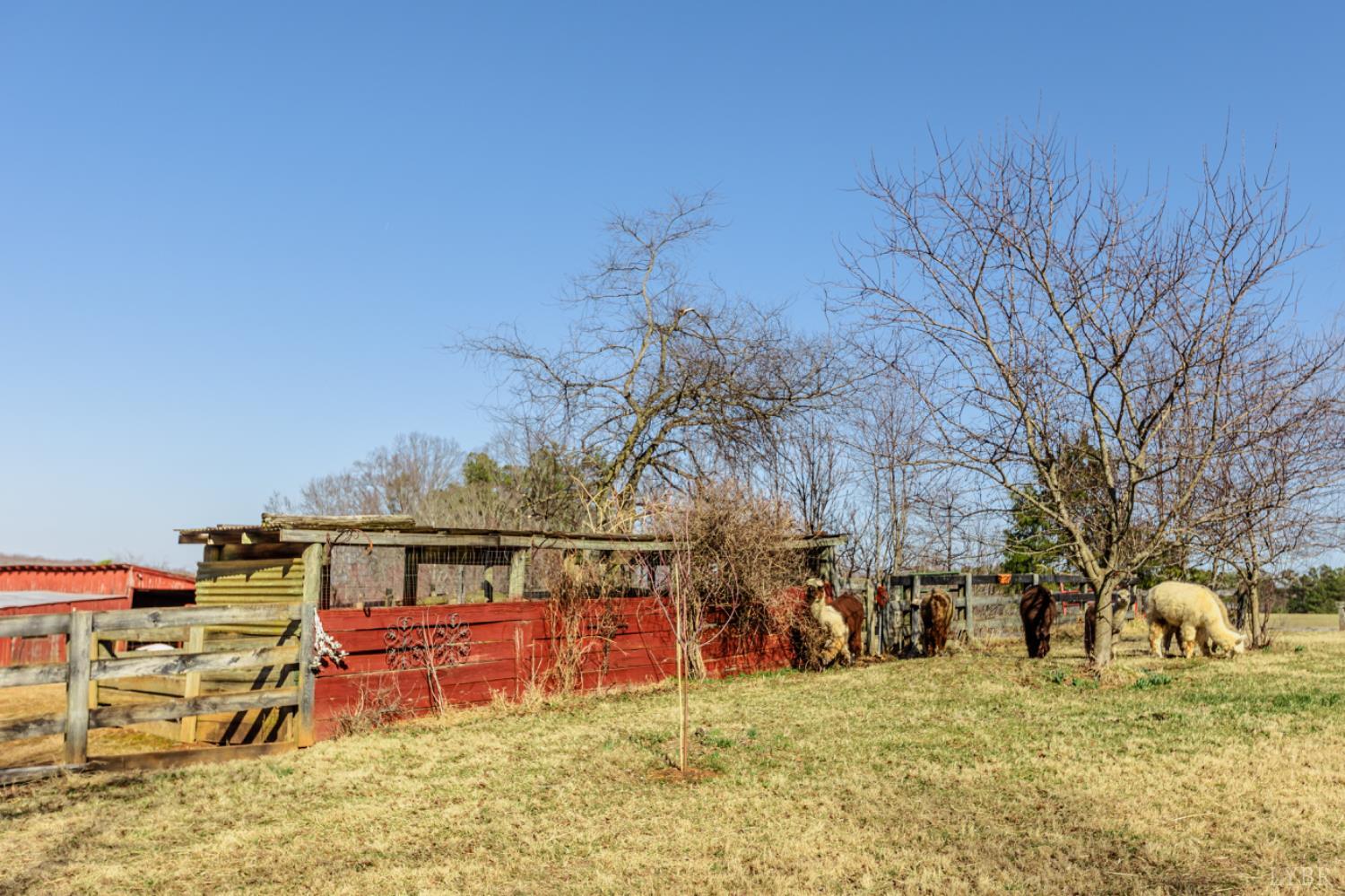 801 Purdum Mill Road Appomattox, VA 24522 - Photo 54 of 68