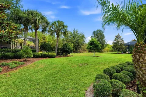 a view of a garden with palm trees