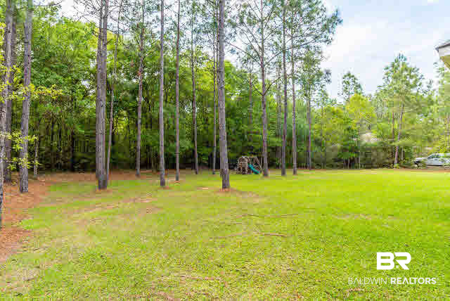 35203 Highway 225 Daphne, AL 36527 - Photo 26 of 26 Backyard