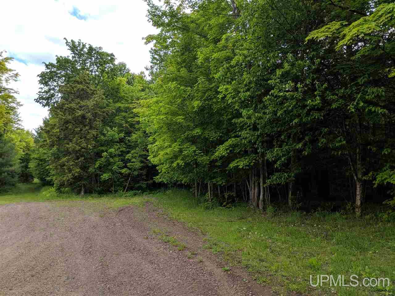 Tbd Town Line Road Skandia, MI 49885 - Photo 14 of 14