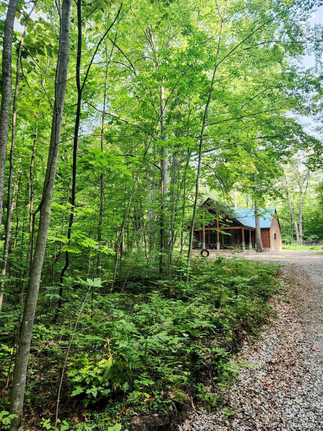 7315 Shellenbarger Road Hale, MI 48739 - Photo 3 of 66 Photo 3