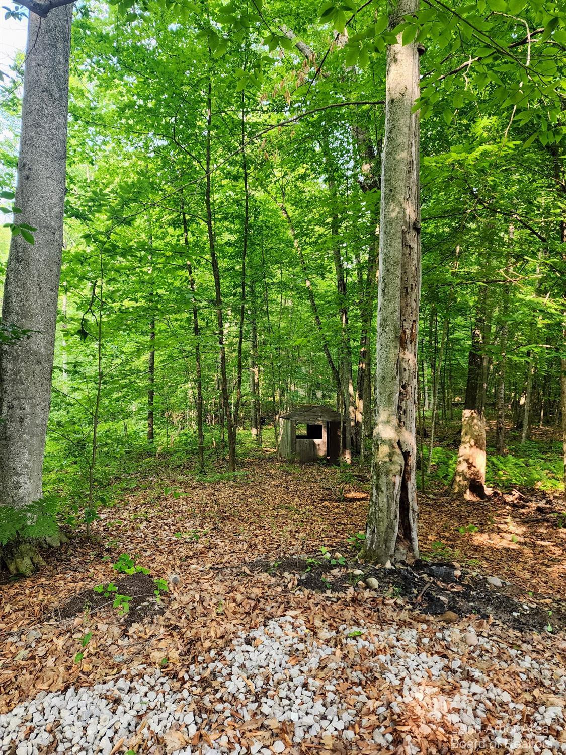7315 Shellenbarger Road Hale, MI 48739 - Photo 62 of 66 Photo 62