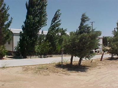 10348 Lone Butte Road Mojave, CA 93501 - Photo 1 of 11 a view of a yard covered in snow