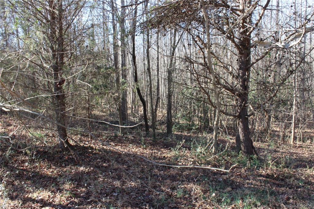 146 Haystack Lane Olin, NC 28660 - Photo 11 of 48