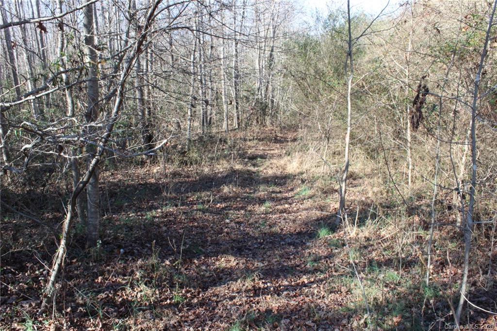 146 Haystack Lane Olin, NC 28660 - Photo 13 of 48