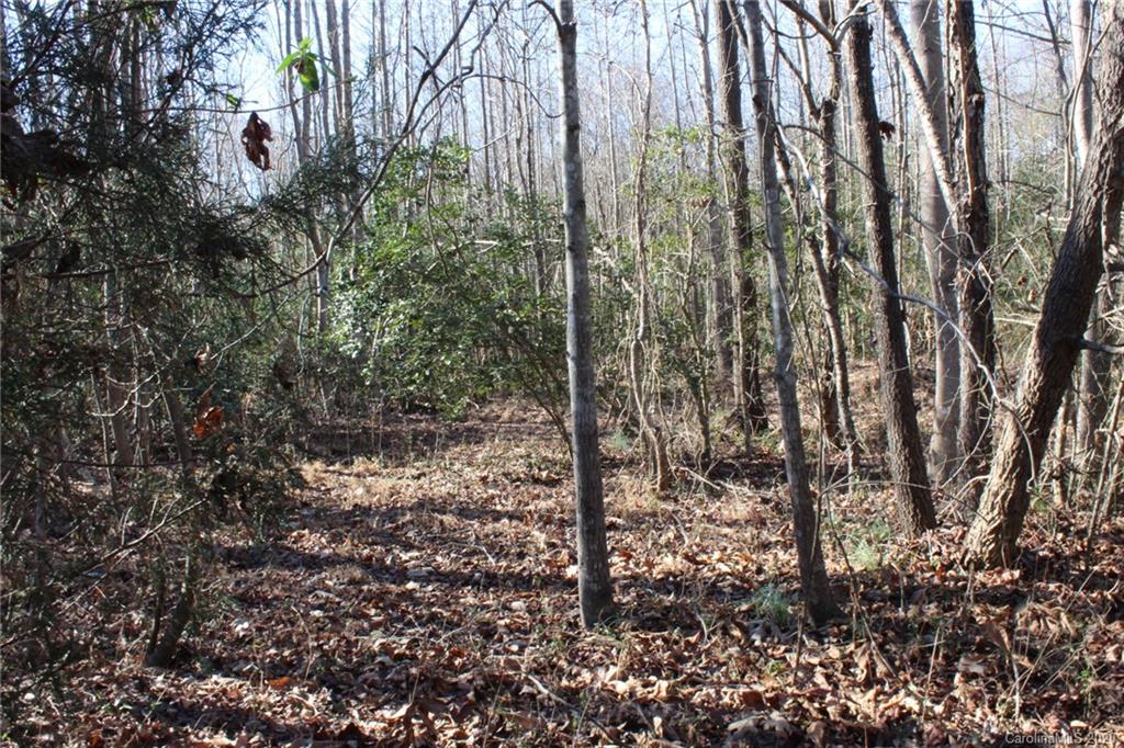 146 Haystack Lane Olin, NC 28660 - Photo 14 of 48