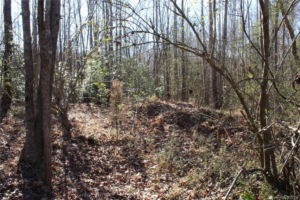146 Haystack Lane Olin, NC 28660 - Photo 15 of 48