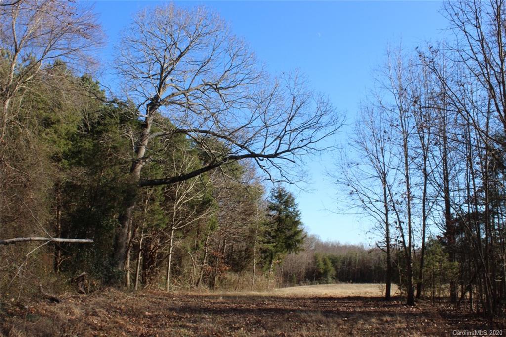 146 Haystack Lane Olin, NC 28660 - Photo 40 of 48